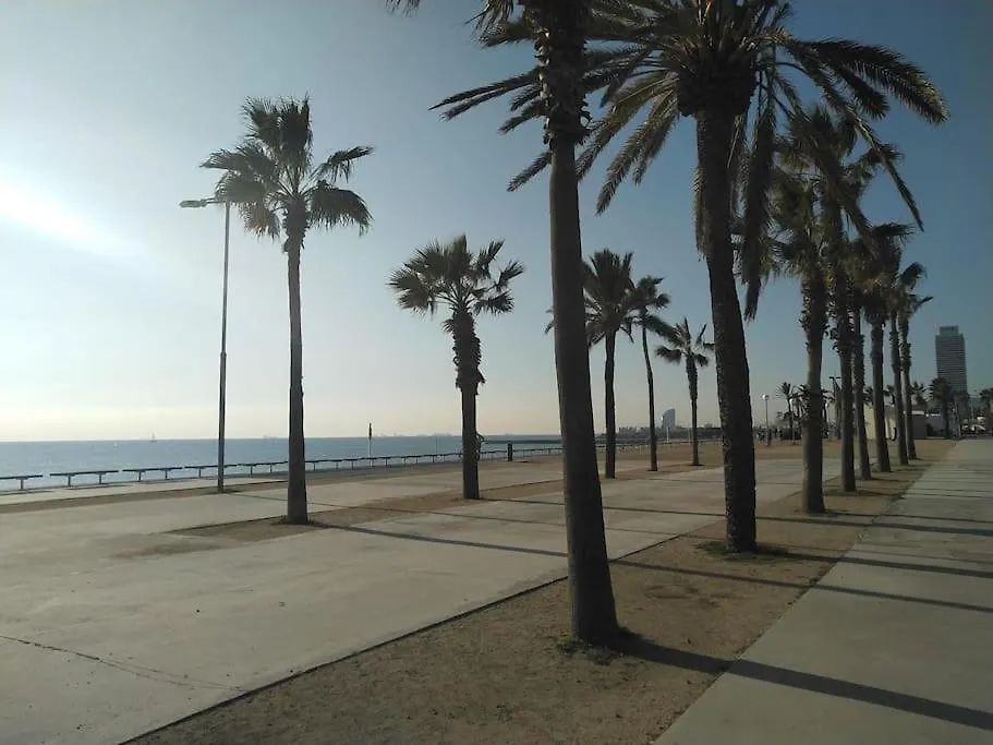 New! Amazing 2 Bedroom Apartment In Rambla Del Poblenou Barcelona Spain