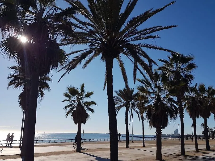New! Amazing 2 Bedroom Apartment In Rambla Del Poblenou Barcelona